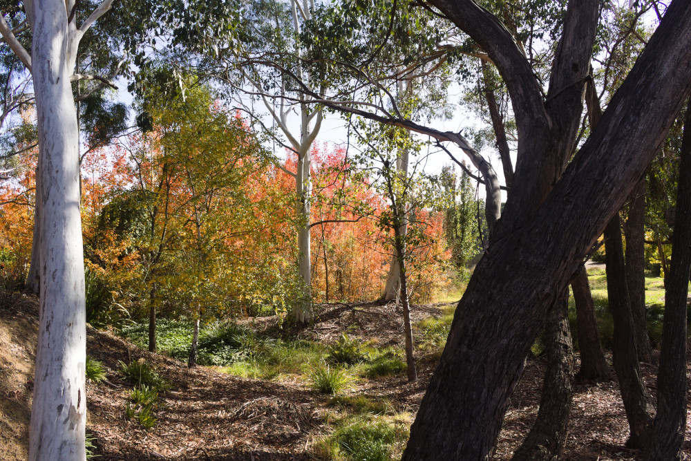 Warby Photography